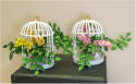 Flowers inside a birdcage by Grace