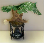 Mandrake Root over skull