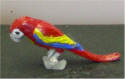 Painted Macaw painted by Grace