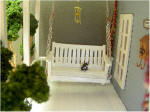 Porch Swing with black tuxedo cat on the swing