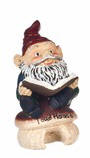 T8530-1 Reading Gnome