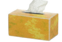 TIN1038 Gold tissue box