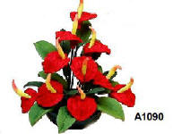 A1090 Red Anthurium in Planter