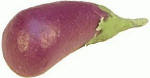 P024 Individual Eggplant 