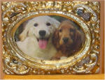 Cocker Spaniel sitting on bench with Golden in Gold Rectangular Frame