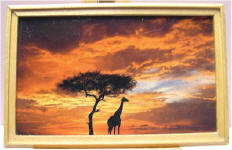 Evening in Africa