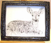 A35 Fawn in Black Frame