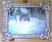 A33 Gray Fox in Silver Frame