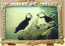 A31 Puffins in Gold Frame