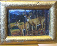 A25 White Tail Deer in Gold Frame