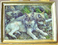 A32 Wolf Pack in Gold Frame