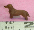 Dachshund