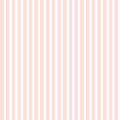 0046s_nb Simply Rose Blue - Stripe Pink NO BORDER