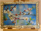 S81 Almond Flowers