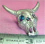 K-17 Steer Skull