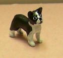 MG Boston Terrier