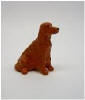 MG Irish Setter