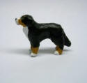 Burmese Mountain Dog