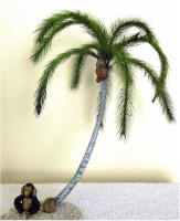 Coconut Monkey Palm