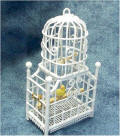 Bird in Bird Cage by Grace