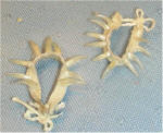 Bone Necklaces