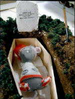 Packrat in the coffin by Grace