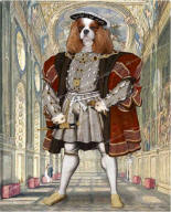 Dressed Tudor dog - of Henry V111