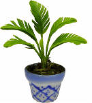 A048 Potted Palm