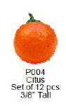 P004 Oranges, 12 pcs