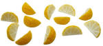 P019 Lemon