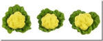 P043 Individual Cauliflower