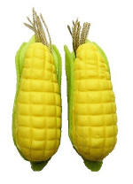 P048 Individual Corn