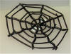 H003 Spider Web