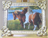 "Ponys" Shetland Island Scotland in Silver Frame