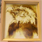 Large Sepia Eagle Photograph  in Custom Wood Frame