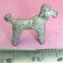072 French Poodle