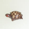 MG Turtle